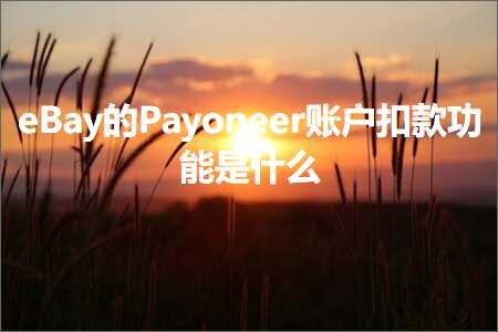 璺ㄥ鐢靛晢鐭ヨ瘑:eBay鐨凱ayoneer璐︽埛鎵ｆ鍔熻兘鏄粈涔? width=