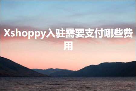 璺ㄥ鐢靛晢鐭ヨ瘑:Xshoppy鍏ラ┗闇€瑕佹敮浠樺摢浜涜垂鐢? width=