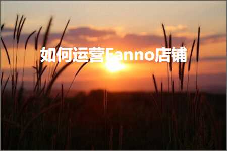 跨境电商知识:如何运营Fanno店铺