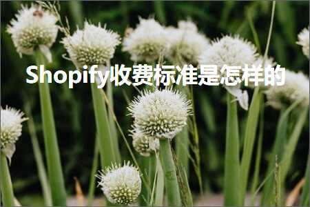 璺ㄥ鐢靛晢鐭ヨ瘑:Shopify鏀惰垂鏍囧噯鏄€庢牱鐨? width=