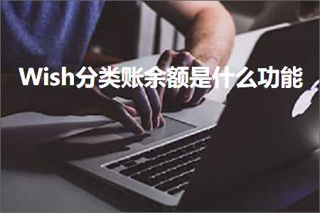 璺ㄥ鐢靛晢鐭ヨ瘑:Wish鍒嗙被璐︿綑棰濇槸浠€涔堝姛鑳? width=