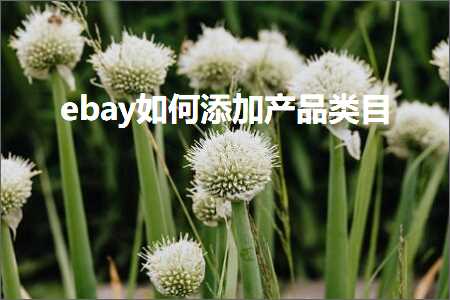 璺ㄥ鐢靛晢鐭ヨ瘑:ebay濡備綍娣诲姞浜у搧绫荤洰