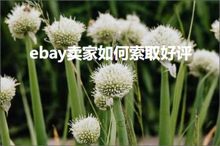 璺ㄥ鐢靛晢鐭ヨ瘑:ebay鍗栧濡備綍绱㈠彇濂借瘎