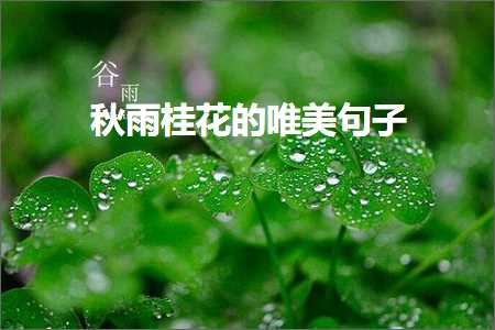 绉嬮洦妗傝姳鐨勫敮缇庡彞瀛愶紙鏂囨194鏉★級